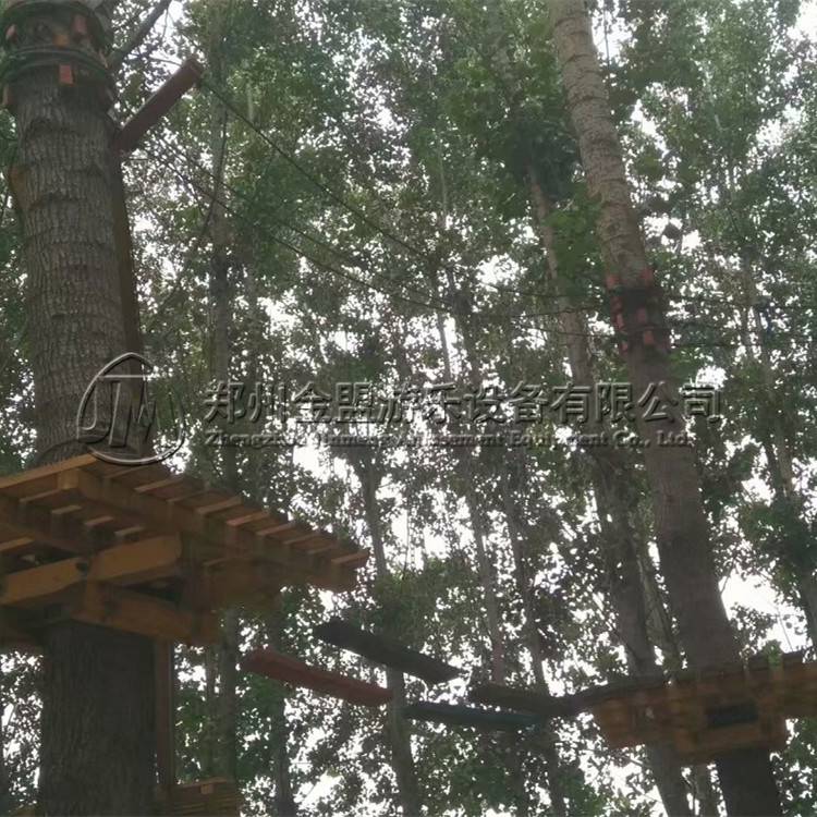 叢林穿梭_體能樂園
